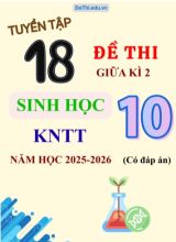Tuyển tập 18 Đề thi giữa kì 2 năm học 2025-2026 môn Sinh học 10 KNTT (Kèm đáp án)